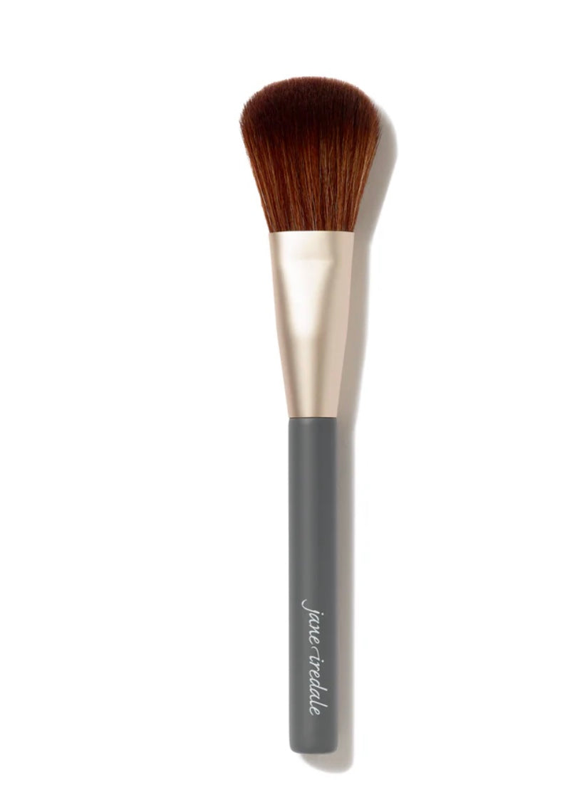 NEW Powder Complexion Brush