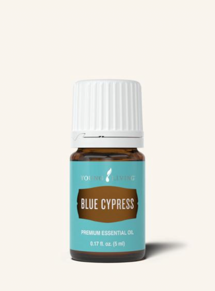 Blue Cypress Essential Oil