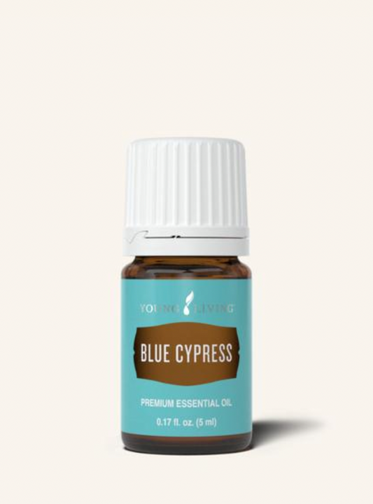 Blue Cypress Essential Oil