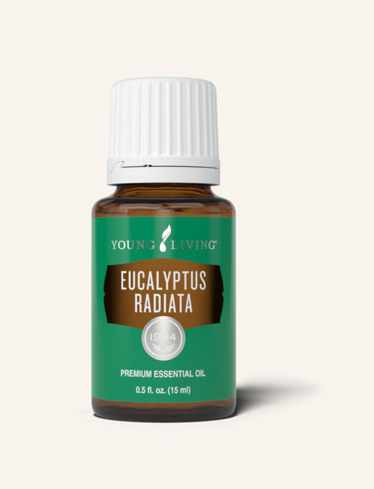 Eucalyptus Radiata Essential Oil