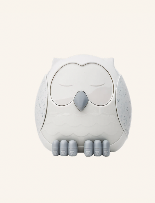 Feather The Owl Ultrasonic Diffuser