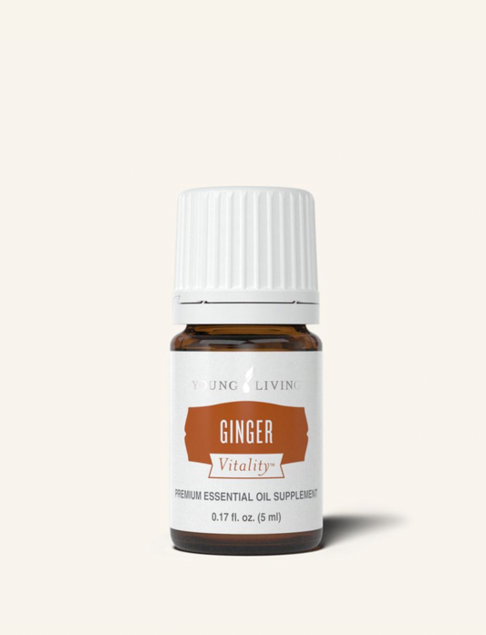 Ginger Essential Oil