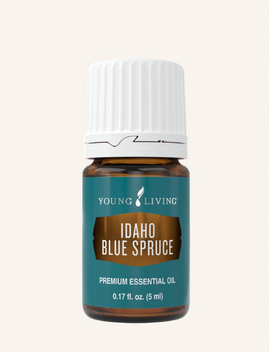 Idaho Blue Spruce Essential Oil