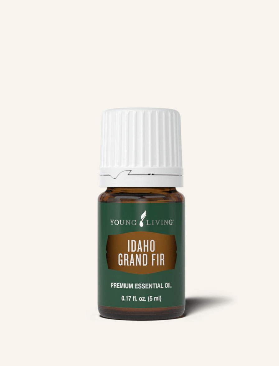 Idaho Grand Fir Essential Oil