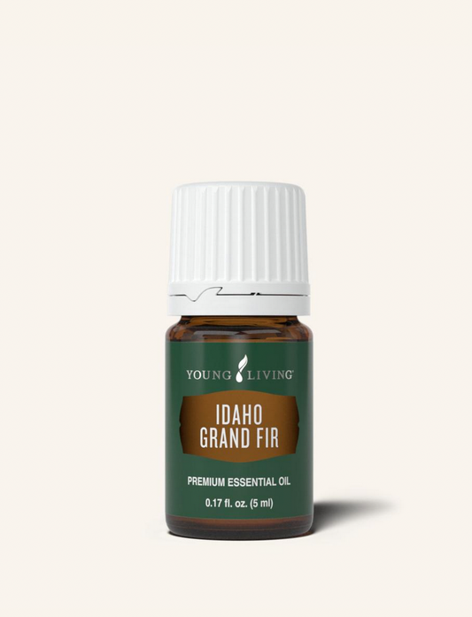 Idaho Grand Fir Essential Oil