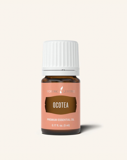 Ocotea Essential Oil