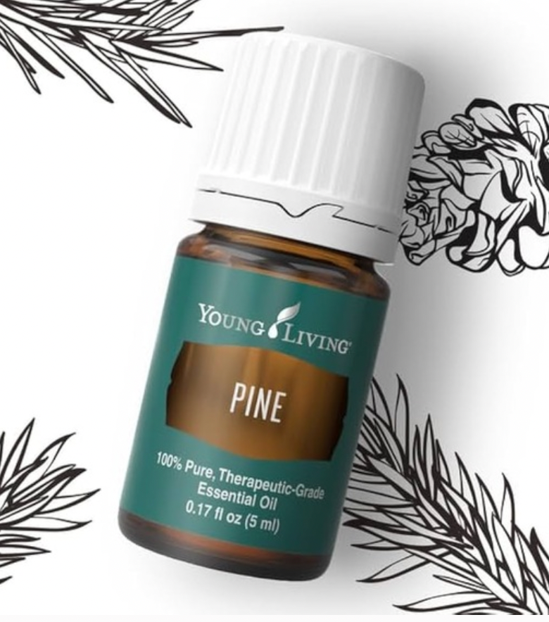 Pine Essential Oil