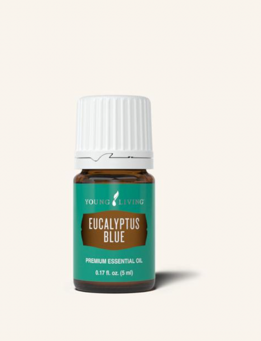 Eucalyptus Blue Essential Oil