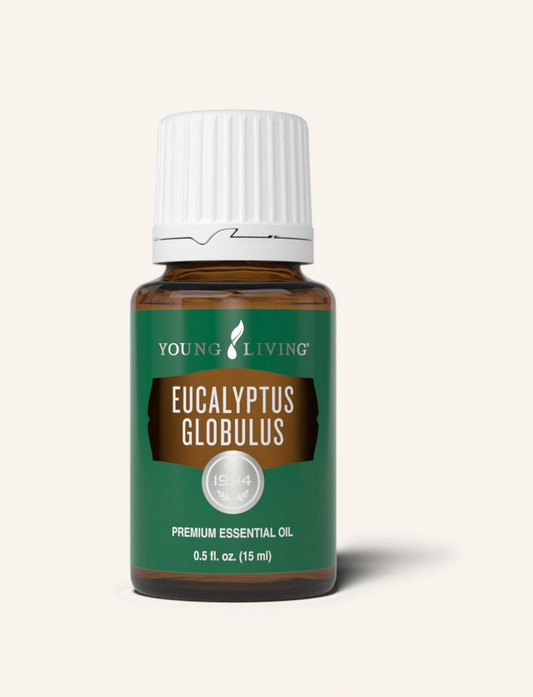 Eucalyptus Globulus Essential Oil