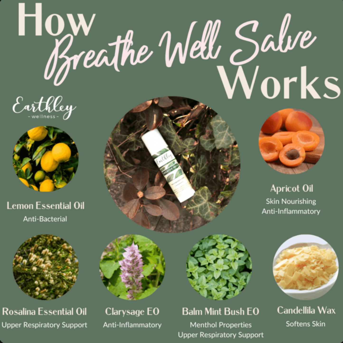 Breathe Well Salve – To Promote Clear Breathing