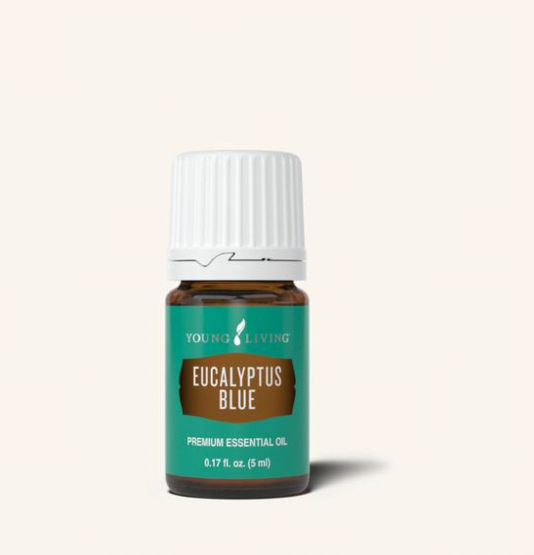 Eucalyptus Blue Essential Oil 5 ml